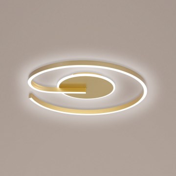 Brilagi -Iluminação de teto LED com regulação SPIRAL LED/56W/230V 3000/4000/6000K+ comando