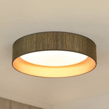 Brilagi - Iluminação de teto LED com regulação VEGAS SHINE LED/24W/230V 3000/4000/6500K palha castanho/dourado + comando