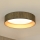 Brilagi - Iluminação de teto LED com regulação VEGAS SHINE LED/24W/230V 3000/4000/6500K palha castanho/dourado + comando