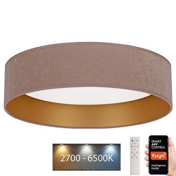 Brilagi - Iluminação de teto LED com regulação VELVET SMART LED/24W/230V d. 45 cm 2700-6500K Wi-Fi Tuya bege/dourado + comando