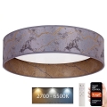 Brilagi - Iluminação de teto LED com regulação VELVET SMART LED/24W/230V d. 45 cm 2700-6500K Wi-Fi Tuya cinzento/dourado + controlo remoto