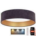 Brilagi - Iluminação de teto LED com regulação VELVET SMART LED/36W/230V d. 55 cm 2700-6500K Wi-Fi Tuya cinzento/dourado + controlo remoto