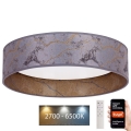Brilagi - Iluminação de teto LED com regulação VELVET SMART LED/36W/230V d. 55 cm 2700-6500K Wi-Fi Tuya cinzento/dourado + controlo remoto