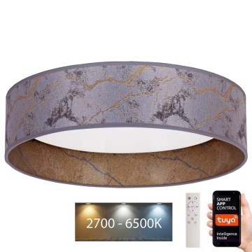 Brilagi - Iluminação de teto LED com regulação VELVET SMART LED/36W/230V d. 55 cm 2700-6500K Wi-Fi Tuya cinzento/dourado + controlo remoto