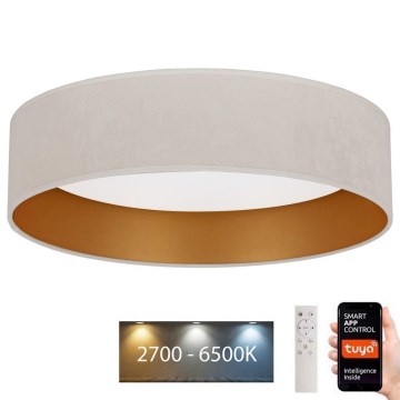 Brilagi - Iluminação de teto LED com regulação VELVET SMART LED/36W/230V d. 55 cm 2700-6500K Wi-Fi Tuya creme/dourado + controlo remoto
