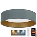 Brilagi - Iluminação de teto LED com regulação VELVET SMART LED/36W/230V d. 55 cm 2700-6500K Wi-Fi Tuya menta/dourado + controlo remoto