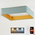 Brilagi - Iluminação de teto LED com regulação VELVET SQUARE SMART LED/36W/230V 2700-6500K Wi-Fi Tuya + controlo remoto menta