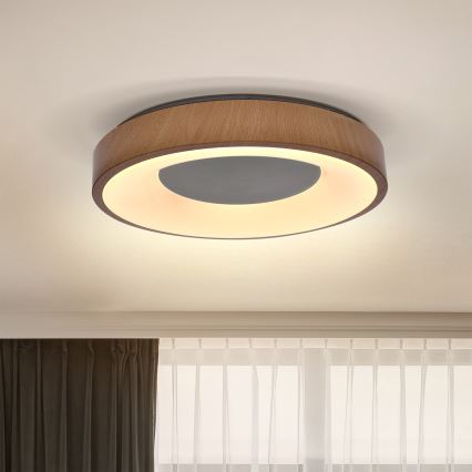 Brilagi - Iluminação de teto LED DORIA LED/24W/230V