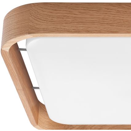 Brilagi - Iluminação de teto LED MANAROLA CUBIC LED/24W/230V 3000-6500K carvalho + +CR