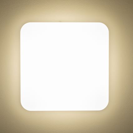 Brilagi - Iluminação de teto LED PLAIN LED/24W/230V 3000K