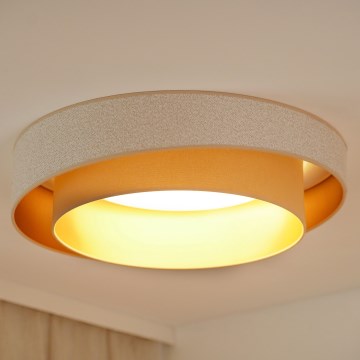 Brilagi - Iluminação de teto LED VEGAS SHINE LED/24W/230V diâmetro 60 cm bege/creme