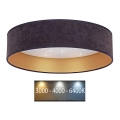 Brilagi - Iluminação de teto LED VELVET STAR LED/24W/230V d. 40 cm 3000K/4000K/6400K cinzento/dourado