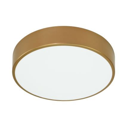 Brilagi - Iluminação de teto para casa de banho CLARE 3xE27/24W/230V diâmetro 40 cm IP54 dourado