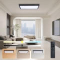 Brilagi - Iluminação de teto para casa de banho LED com regulação FRAME SMART LED/30W/230V 30x60 cm 3000-6000K  IP44 preto  + comando