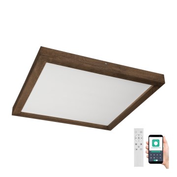 Brilagi - Iluminação de teto para casa de banho LED com regulação WOODY FRAME LED/50W/230V carvalho 60x60 cm 3000-6000K IP44 + comando