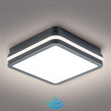 Brilagi - Iluminação exterior LED com sensor BENE LED/18W/230V 22x22 cm antracite IP54