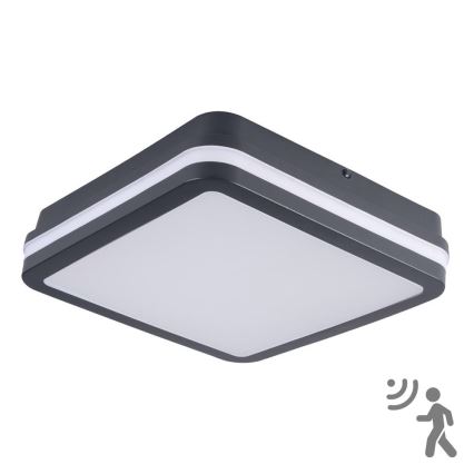 Brilagi - Iluminação exterior LED com sensor BENE LED/18W/230V 22x22 cm antracite IP54