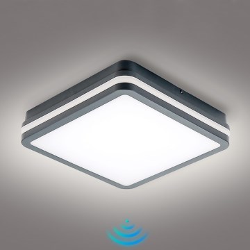 Brilagi - Iluminação exterior LED com sensor BENE LED/24W/230V 26x26 cm antracite IP54