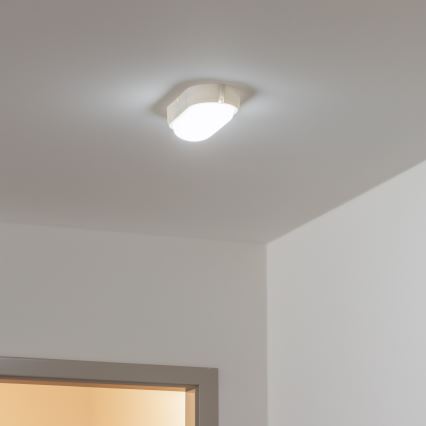 Brilagi - Iluminação industrial de teto LED SIMA LED/12W/230V IP65 branca