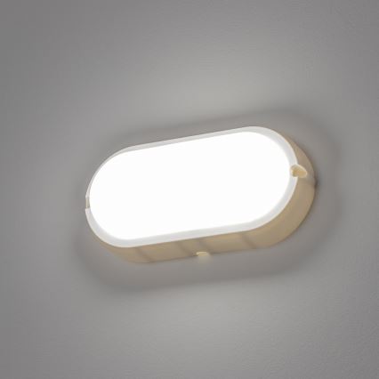Brilagi - Iluminação industrial de teto LED SIMA LED/12W/230V IP65 branca