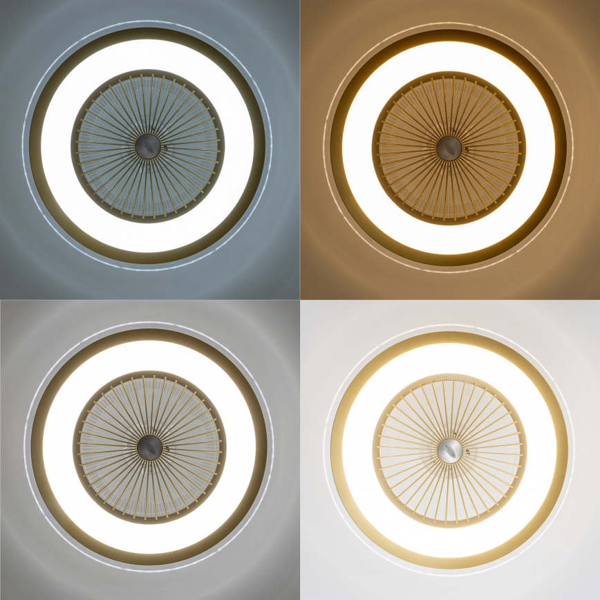 Brilagi - Iluminação LED com regulação e ventoinha RONDA LED/48W/230V 3000-6000K dourada + controlo remoto