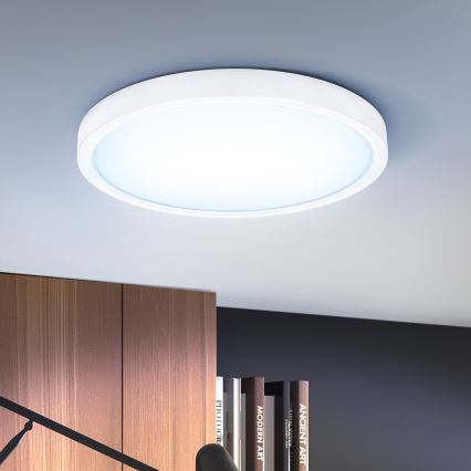 Brilagi - Iluminação de teto LED com regulação ESTELA LED/36W/230V 3000-6500K ø 30 cm branco + comando