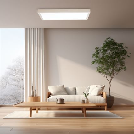 Brilagi - Iluminação de teto para casa de banho LED com regulação FRAME SMART LED/30W/230V 30x60 cm 3000-6000K IP44 branco + comando