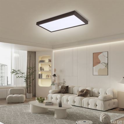 Brilagi - Iluminação de teto para casa de banho LED com regulação FRAME SMART LED/30W/230V 30x60 cm 3000-6000K  IP44 preto  + comando