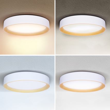 Brilagi - Iluminação de teto LED com regulação LARIOS LED/48W/230V 3000-6500K ø 39 cm branco + comando