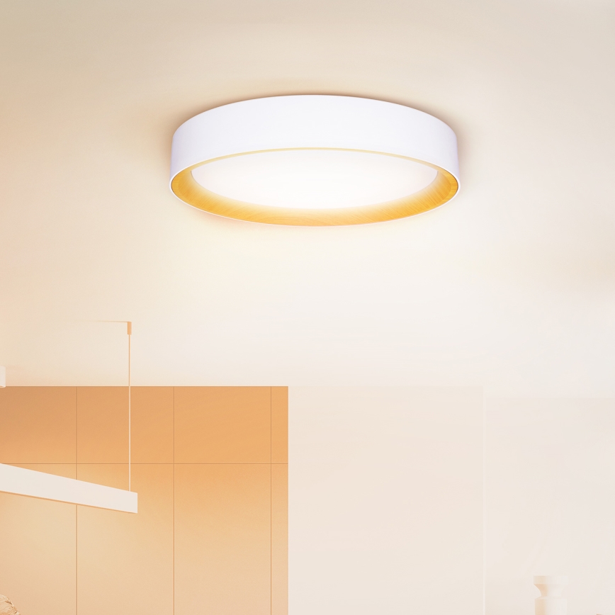 Brilagi - Iluminação de teto LED com regulação LARIOS LED/48W/230V 3000-6500K ø 39 cm branco + comando