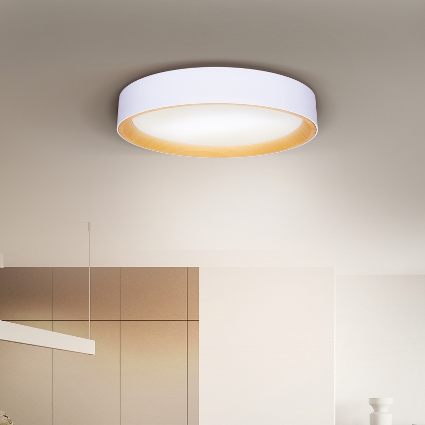 Brilagi - Iluminação de teto LED com regulação LARIOS LED/48W/230V 3000-6500K ø 39 cm branco + comando