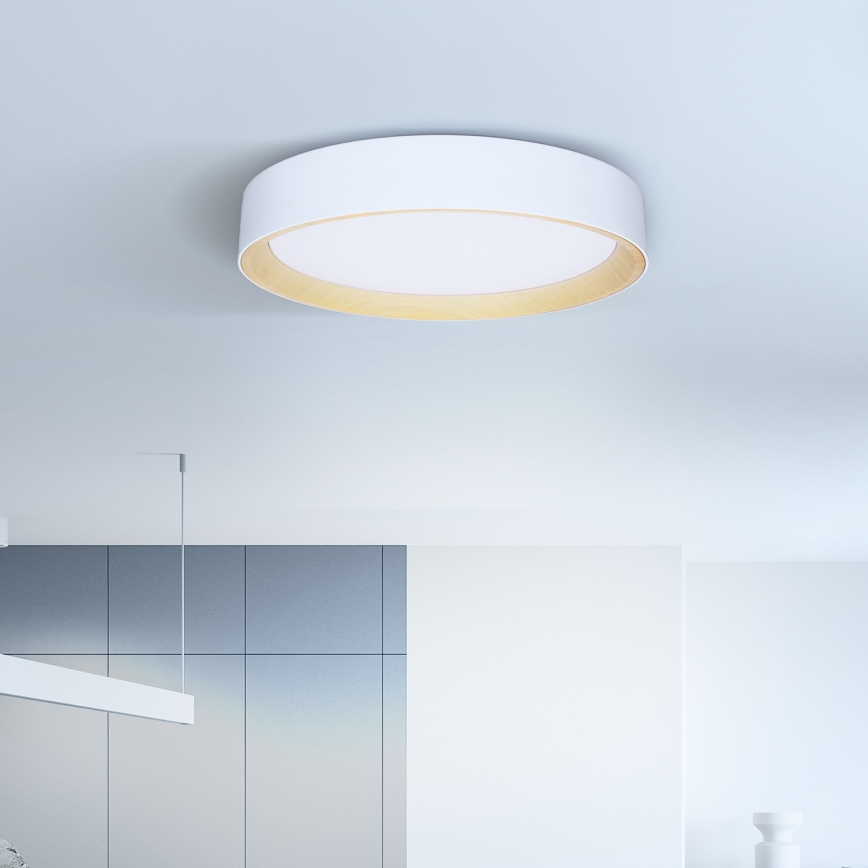 Brilagi - Iluminação de teto LED com regulação LARIOS LED/48W/230V 3000-6500K ø 39 cm branco + comando
