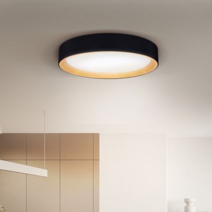 Brilagi - Iluminação de teto LED com regulação LARIOS LED/48W/230V 3000-6500K ø 39 cm preto + comando