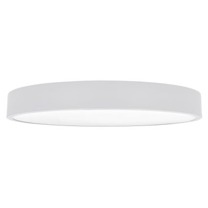 Brilagi - Iluminação de teto LED com regulação POOL SMART LED/60W/230V 3000-6000K 50 cm + comando branco