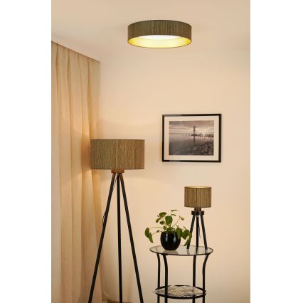 Brilagi - Iluminação de teto LED com regulação VEGAS SHINE LED/24W/230V 3000/4000/6500K palha castanho/dourado + comando