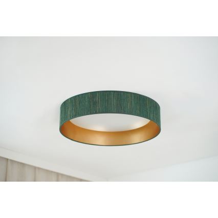 Brilagi - Iluminação de teto LED com regulação VEGAS SHINE LED/24W/230V 3000/4000/6500K palha verde/dourado + comando