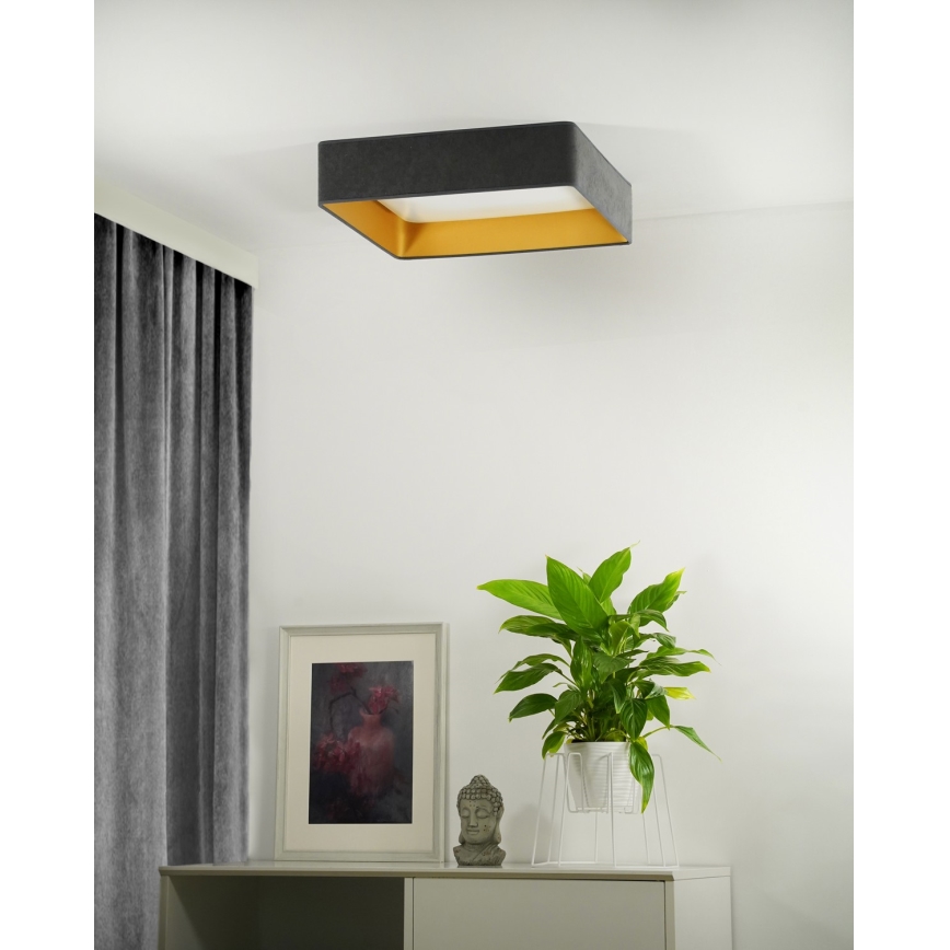 Brilagi - Iluminação de teto LED com regulação VELVET SQUARE LED/24W/230V 3000/4000/6500K + controlo remoto cinzento