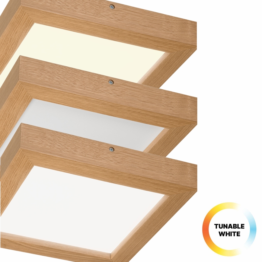 Brilagi - Iluminação de teto para casa de banho LED com regulação WOODY FRAME LED/24W/230V carvalho 30x30 cm 3000-6000K IP44 + comando