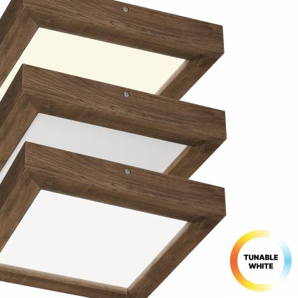 Brilagi - Iluminação de teto para casa de banho LED com regulação WOODY FRAME LED/24W/230V carvalho 30x30 cm 3000-6000K IP44 + comando