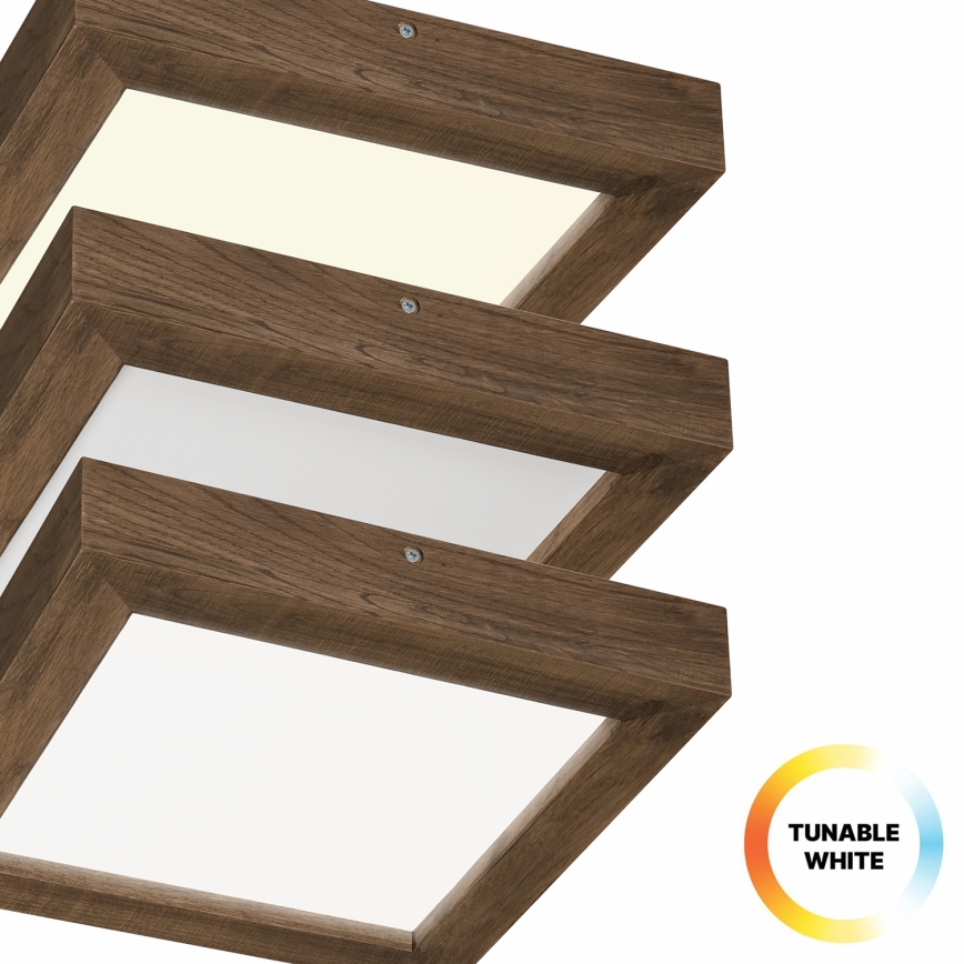 Brilagi - Iluminação de teto para casa de banho LED com regulação WOODY FRAME LED/24W/230V carvalho 30x30 cm 3000-6000K IP44 + comando