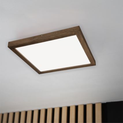 Brilagi - Iluminação de teto para casa de banho LED com regulação WOODY FRAME LED/50W/230V carvalho 60x60 cm 3000-6000K IP44 + comando