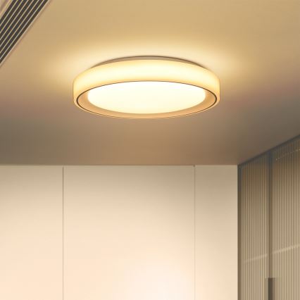 Brilagi - Iluminação de teto LED RGB com regulação FLOCO LED/30W/230V 3000-6500K Wi-Fi Tuya + LED/6W + comando