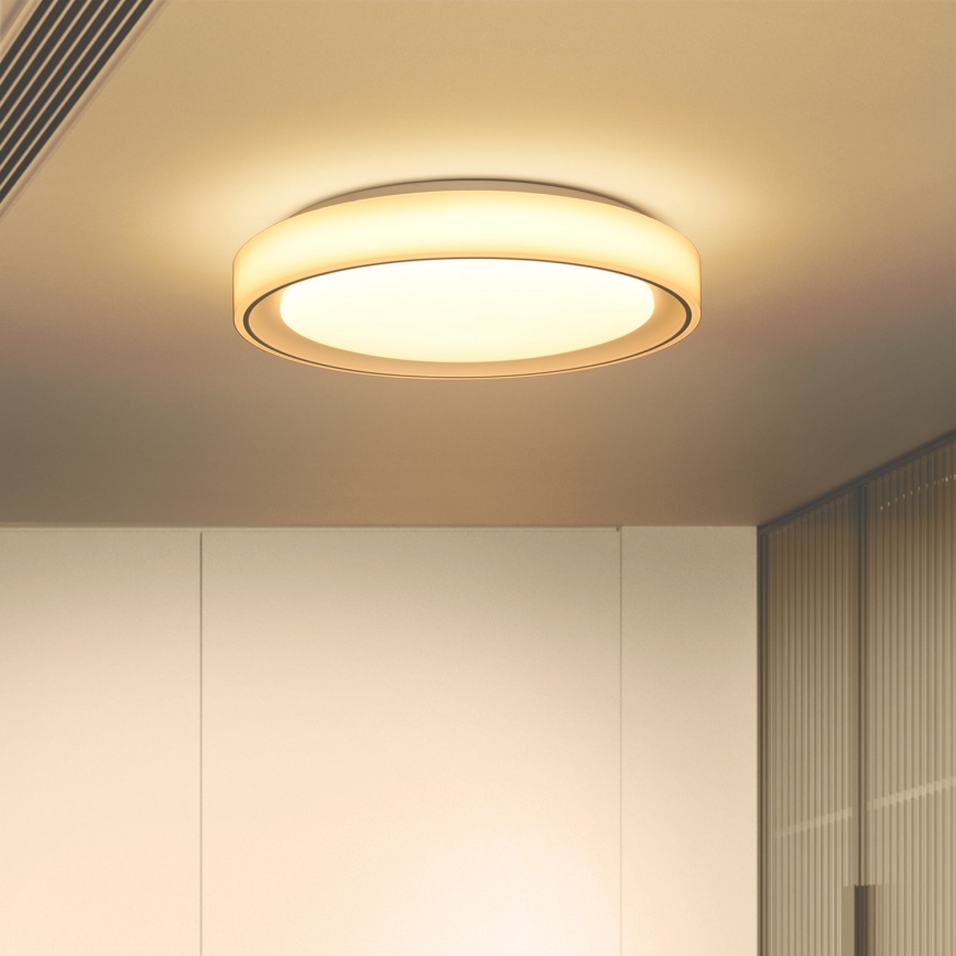 Brilagi - Iluminação de teto LED RGB com regulação FLOCO LED/30W/230V 3000-6500K Wi-Fi Tuya + LED/6W + comando