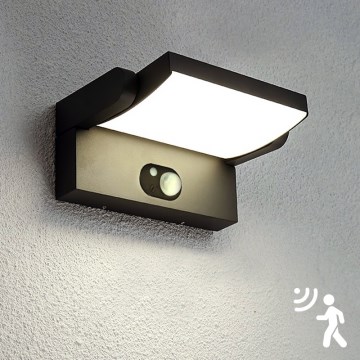 Brilagi - Iluminação solar de parede LED com sensor ANKLE LED/3,5W/3,7V IP54