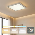 Brilagi - LED Candeeiro de tecto para casa de banho FRAME LED/50W/230V 3000/4000/6000K 60x60 cm IP44 prateado