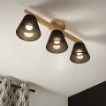 Brilagi - LED  Candeeiro integrado ANTHONY 3xE14/40W/230V carvalho/preto