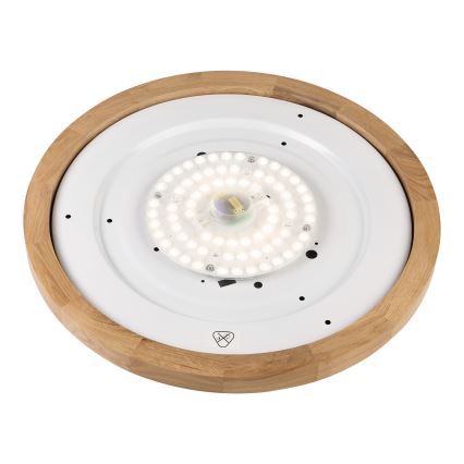 Brilagi - LED Luminária de teto BELLADONNA LED/36W/230V diâmetro 50 cm branco/embaçador