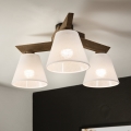 Brilagi - LED Plafon ANTHONY 3xE14/40W/230V carvalho nogueira/branco