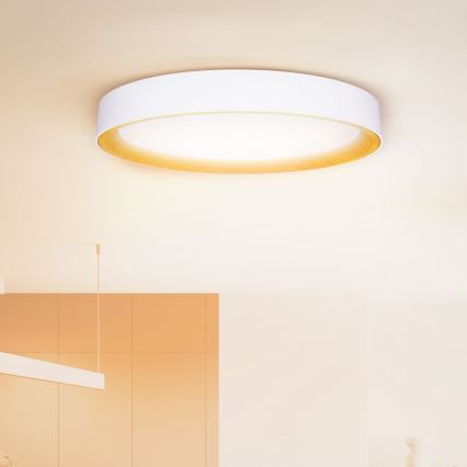 Brilagi - Candeeiro de tecto LED dimerizável LARIOS LED/72W/230V branco Ø 59 cm + controlo remoto