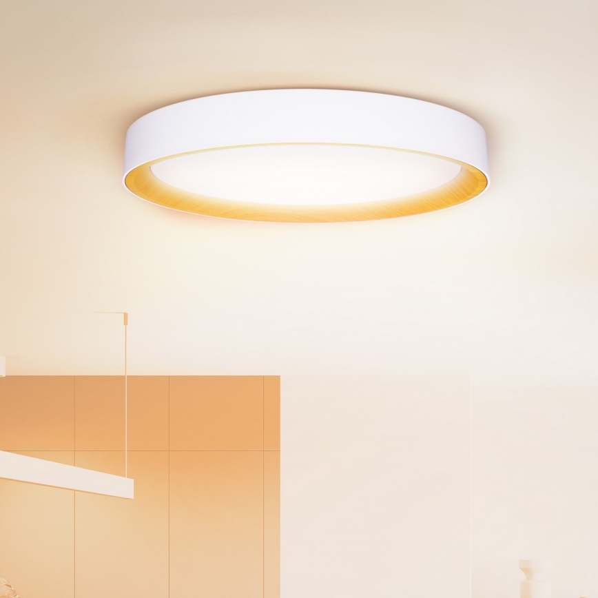 Brilagi - Candeeiro de tecto LED dimerizável LARIOS LED/72W/230V branco Ø 59 cm + controlo remoto